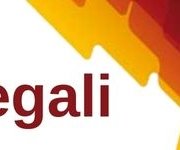 casi legali